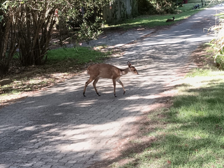 2 Bedroom Property for Sale in Brenton On Lake Western Cape